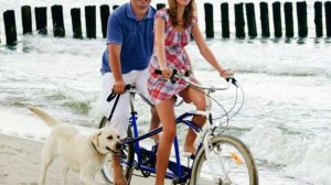Riding a bike with a dog: what to watch out for