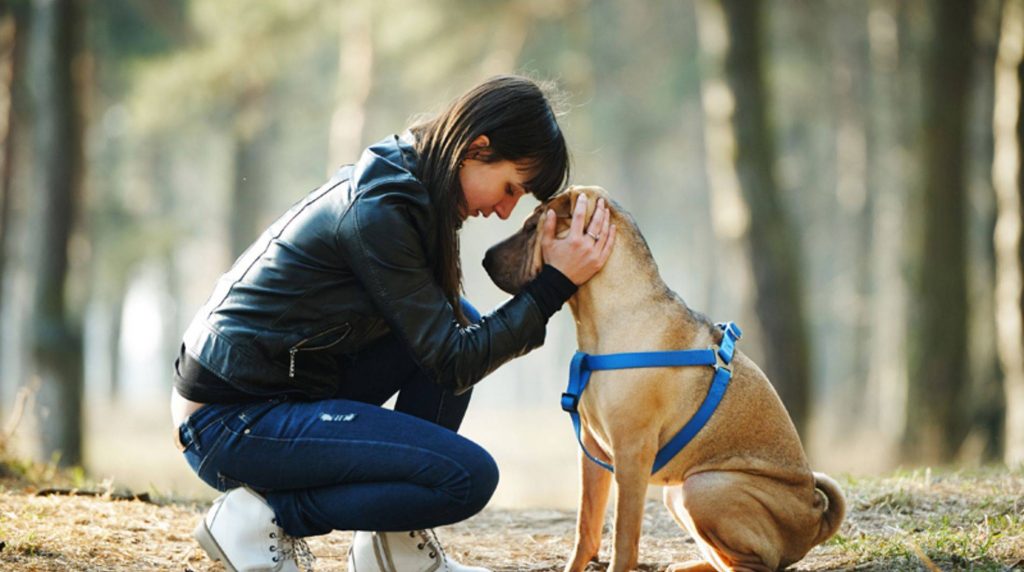 Strengthening the bond with your dog: how he loves you even more