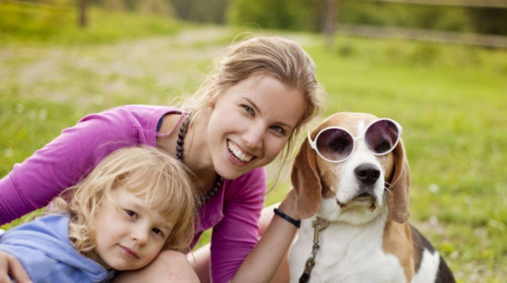 Family dogs: Medium breeds