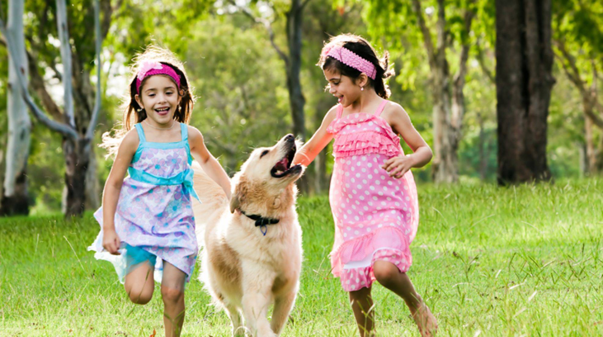 Great family dogs: these breeds fit children