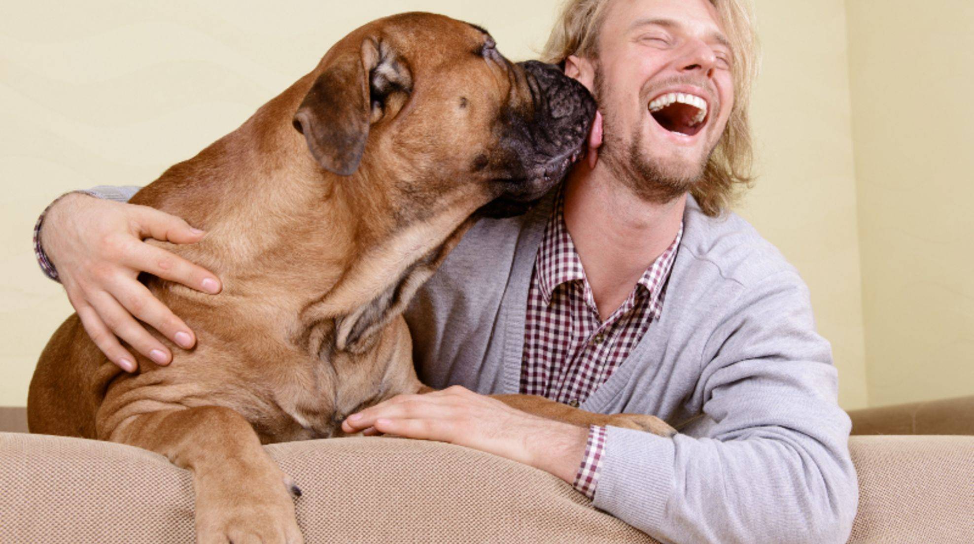 How dogs show their love: 6 signs
