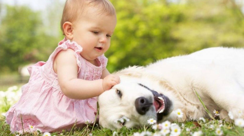 Babies and dogs: tips for proper handling