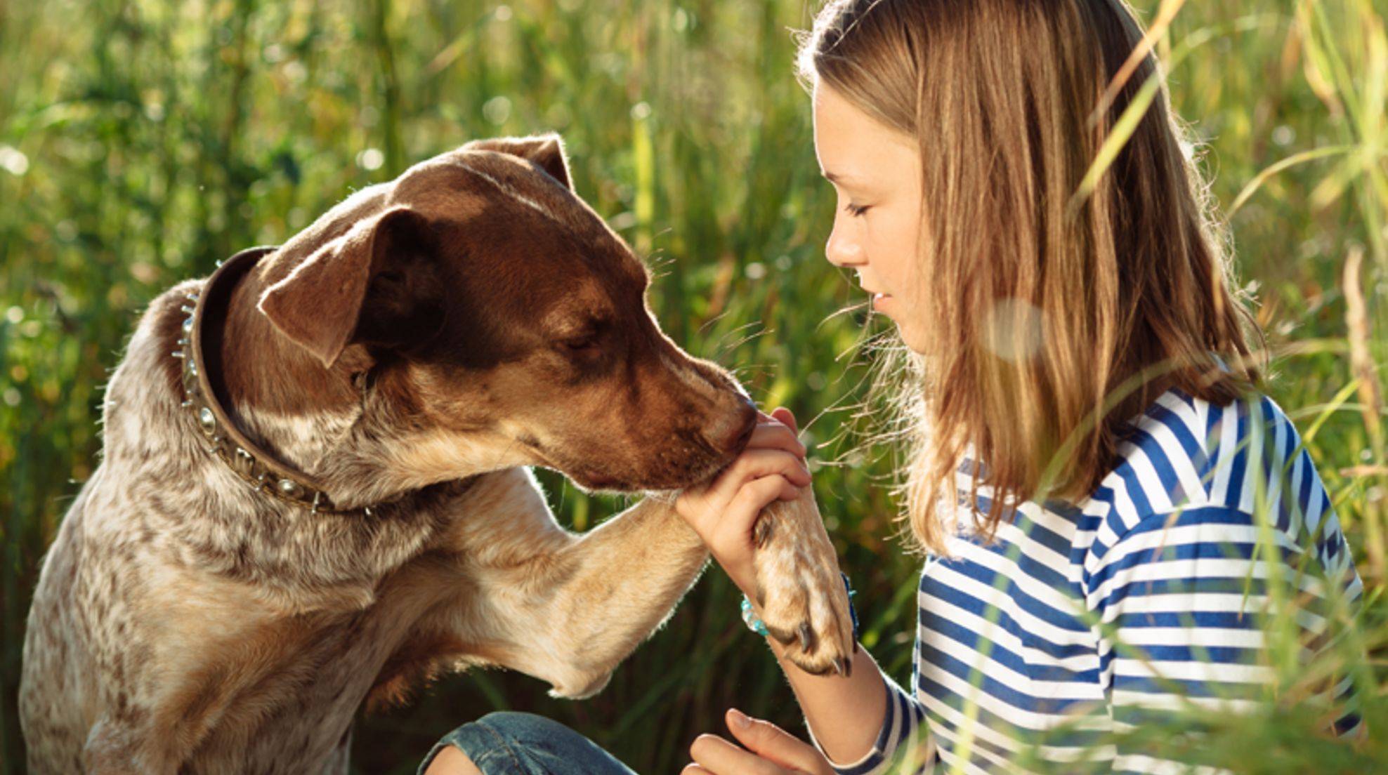Why dogs make great pets: 7 good reasons